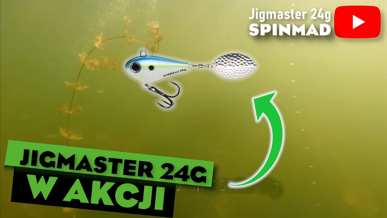 SPINMAD   JIGMASTER 24g