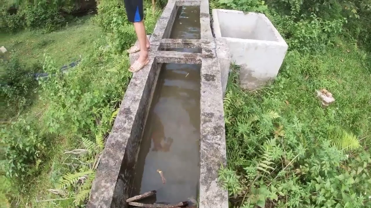 Lắp đặt thành công máy bơm tự áp vương gia cho bác phê ở vỵ xuyên hà giang