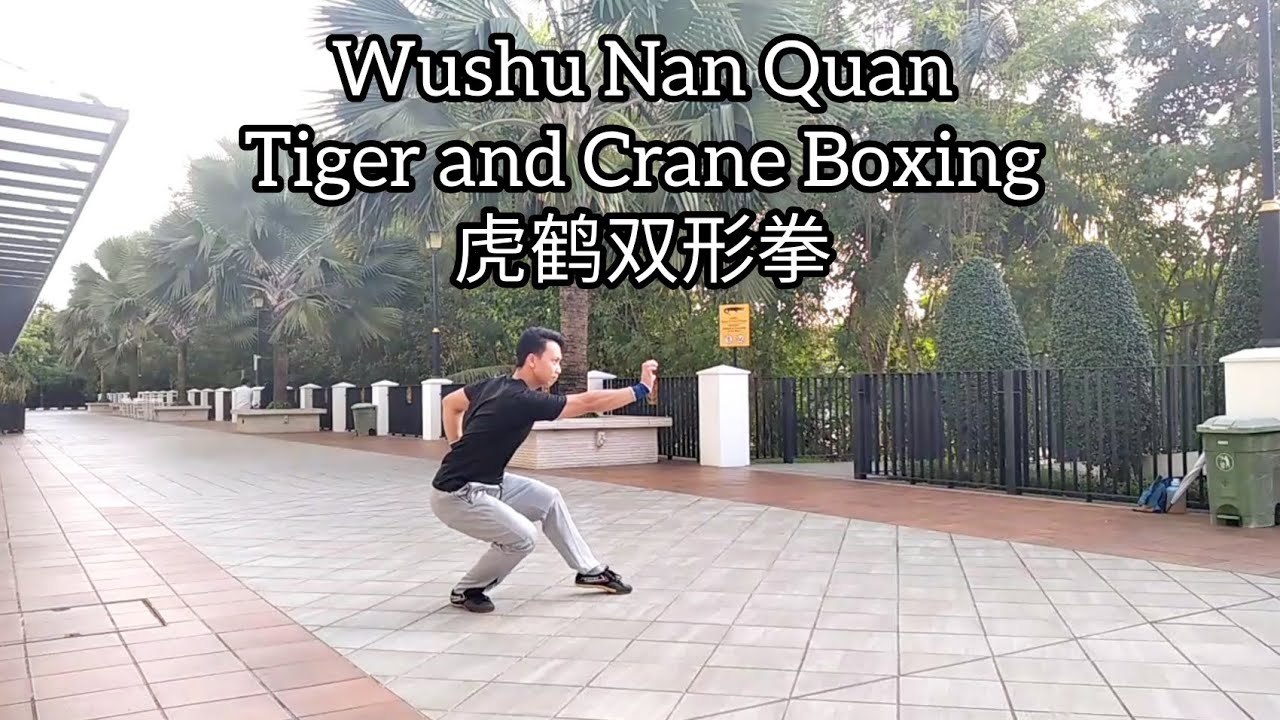 Nan Quan Tiger and Crane Boxing 虎鹤双形拳 - Wushu Nan Quan