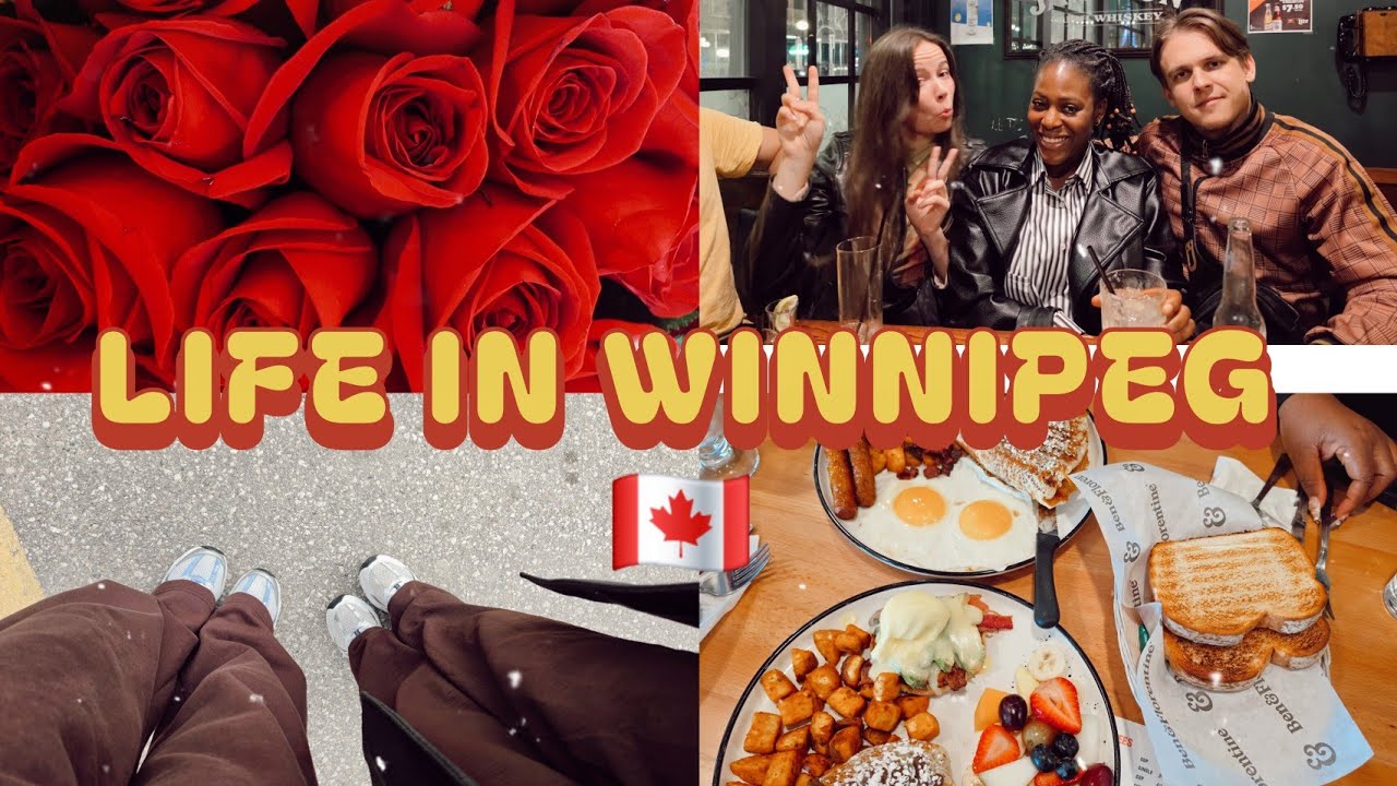 Жизнь в одиночку в Канаде 🇨🇦. Виннипег, Манитоба.