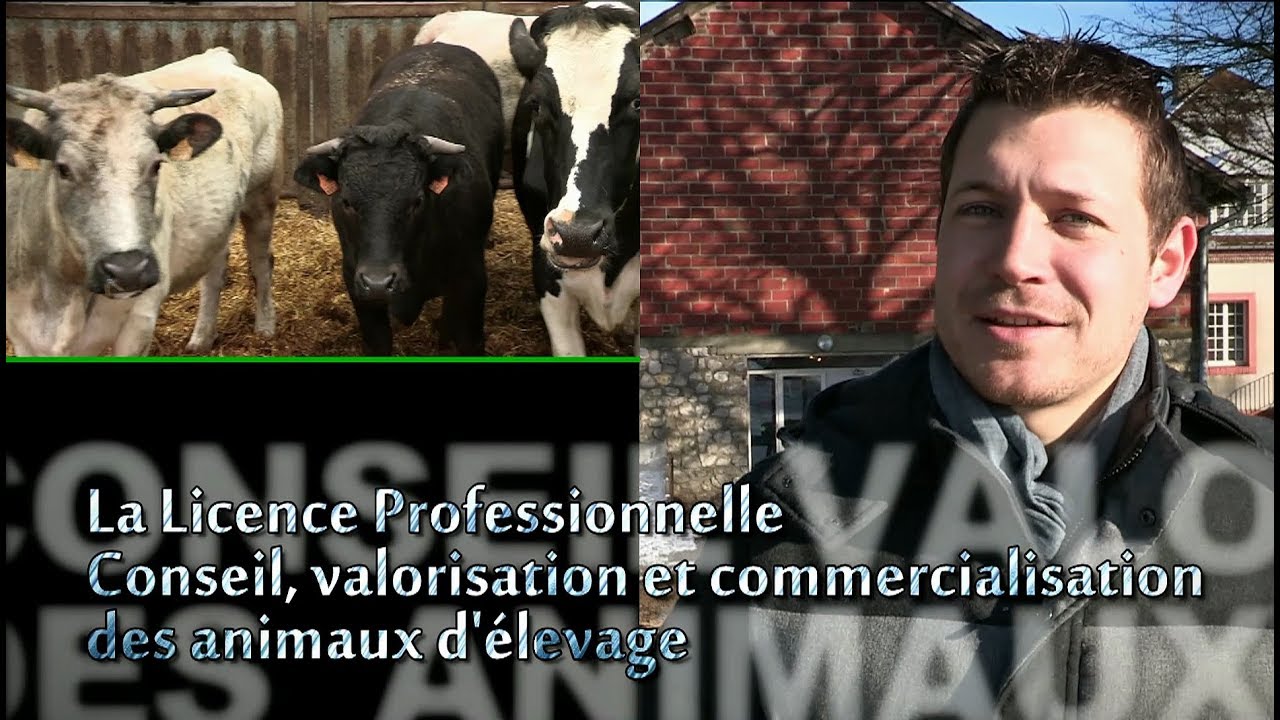 La licence Pro Productions animales