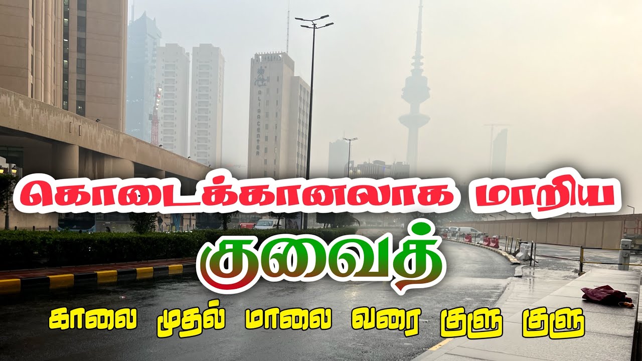 கொடைக்கானலாக மாறிய குவைத் | காலை முதல் மாலை வரை குளு குளு | Kuwait - Kodaikanal #naanumvloggerdhan