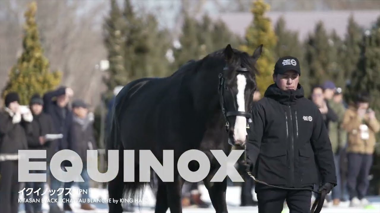 NEW for 2024 STALLIONS（社台スタリオンステーション2024年新種牡馬紹介）