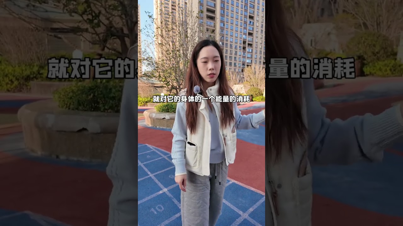 小狗出门乱捡地上东西吃怎么办？ #新手养狗#新手养狗攻略 #狗狗乱捡食#雪纳瑞#养宠经验分享