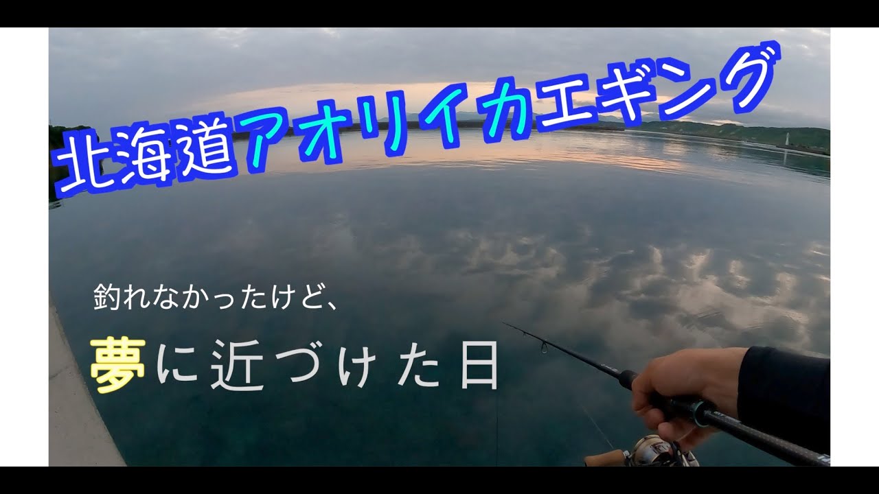【北海道でこんな大物が!!】アオリイカエギング＃エギング＃アオリイカ