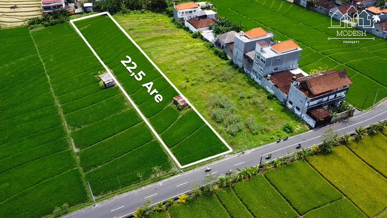 Front Road 22,5 Are Rectangular-Shaped Land