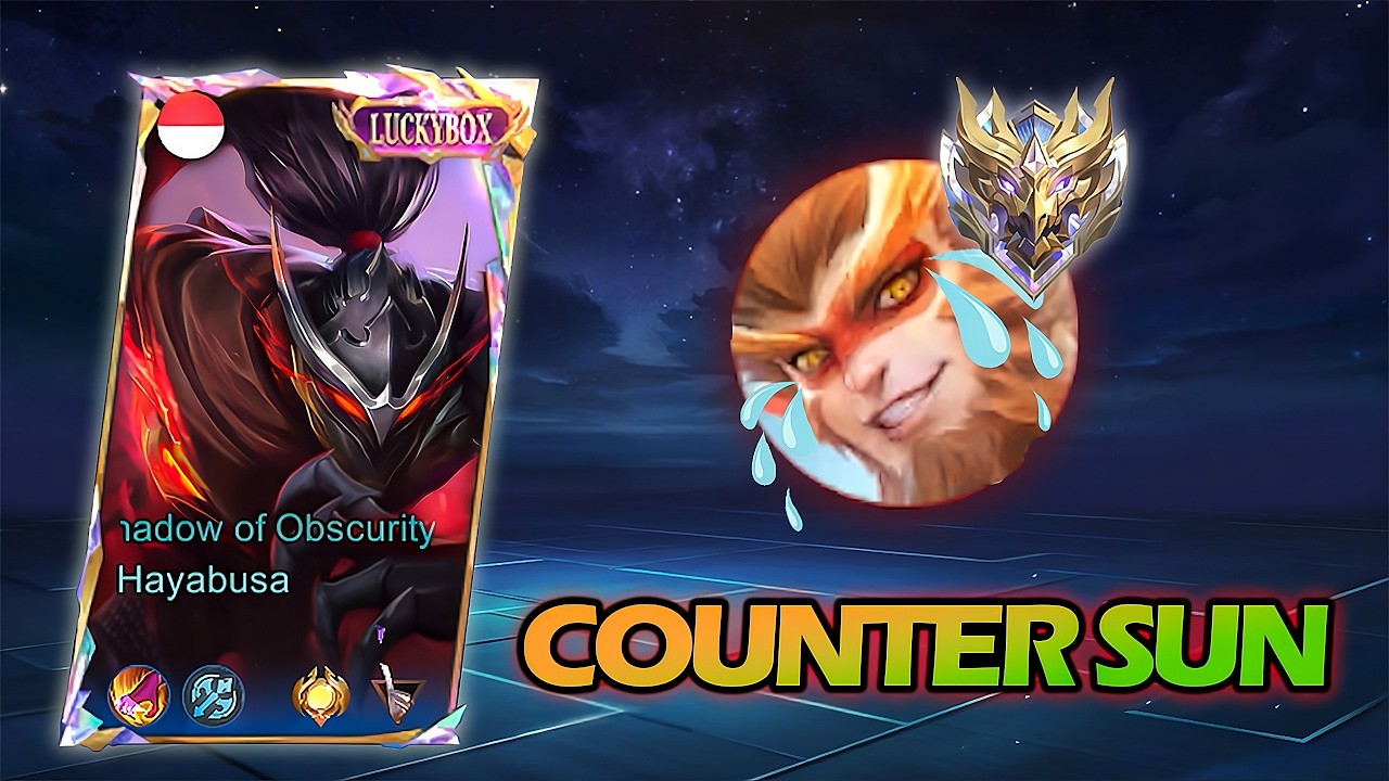 HOW TO PLAY HAYABUSA COUNTER SUN!? HAYABUSA BUILD AND EMBELM