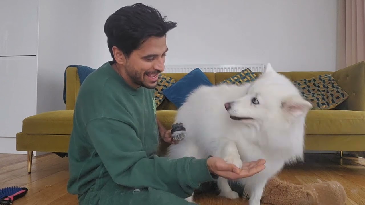 Doggo-e-sonnet
