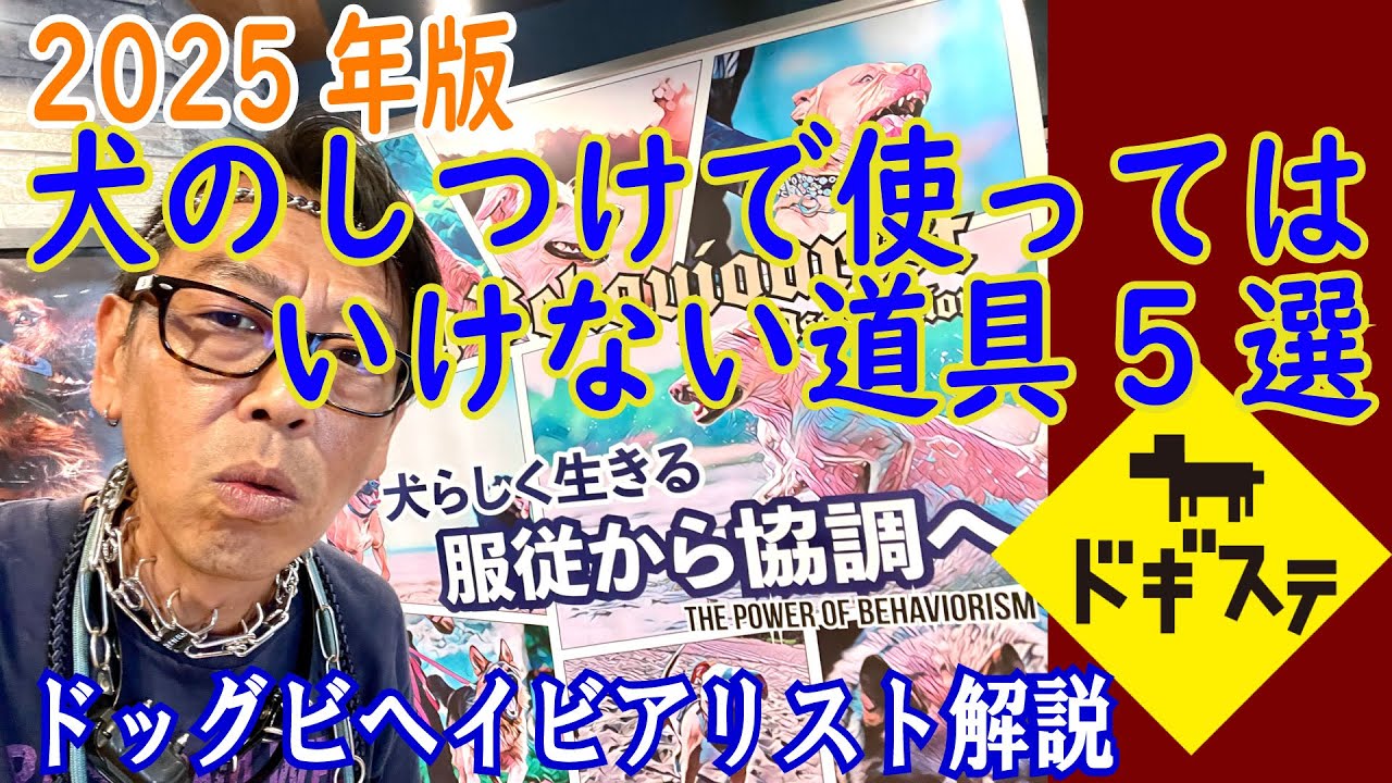 犬のしつけや訓練で使ってはいけない道具5選 2025年版：DOGGY STATION/犬のしつけ・問題行動・犬の心理学・犬の行動学・ドッグビヘイビアリスト