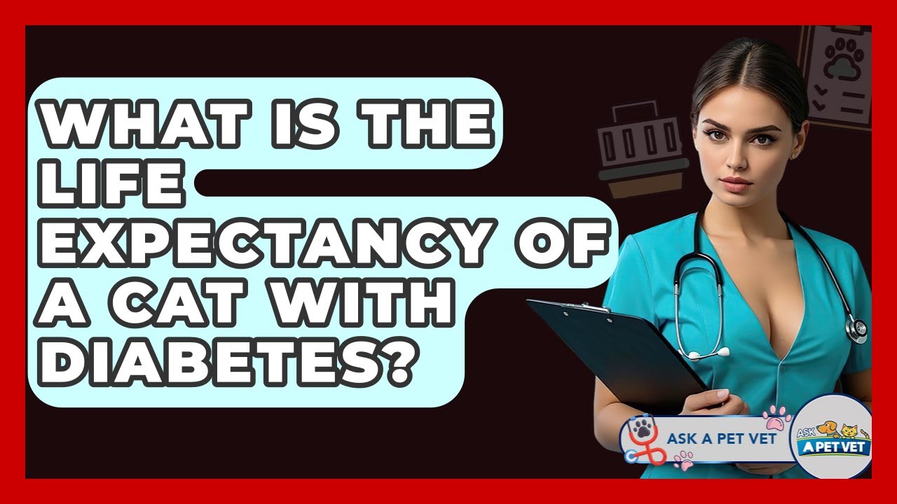 What Is The Life Expectancy Of A Cat With Diabetes? - Ask A Pet Vet