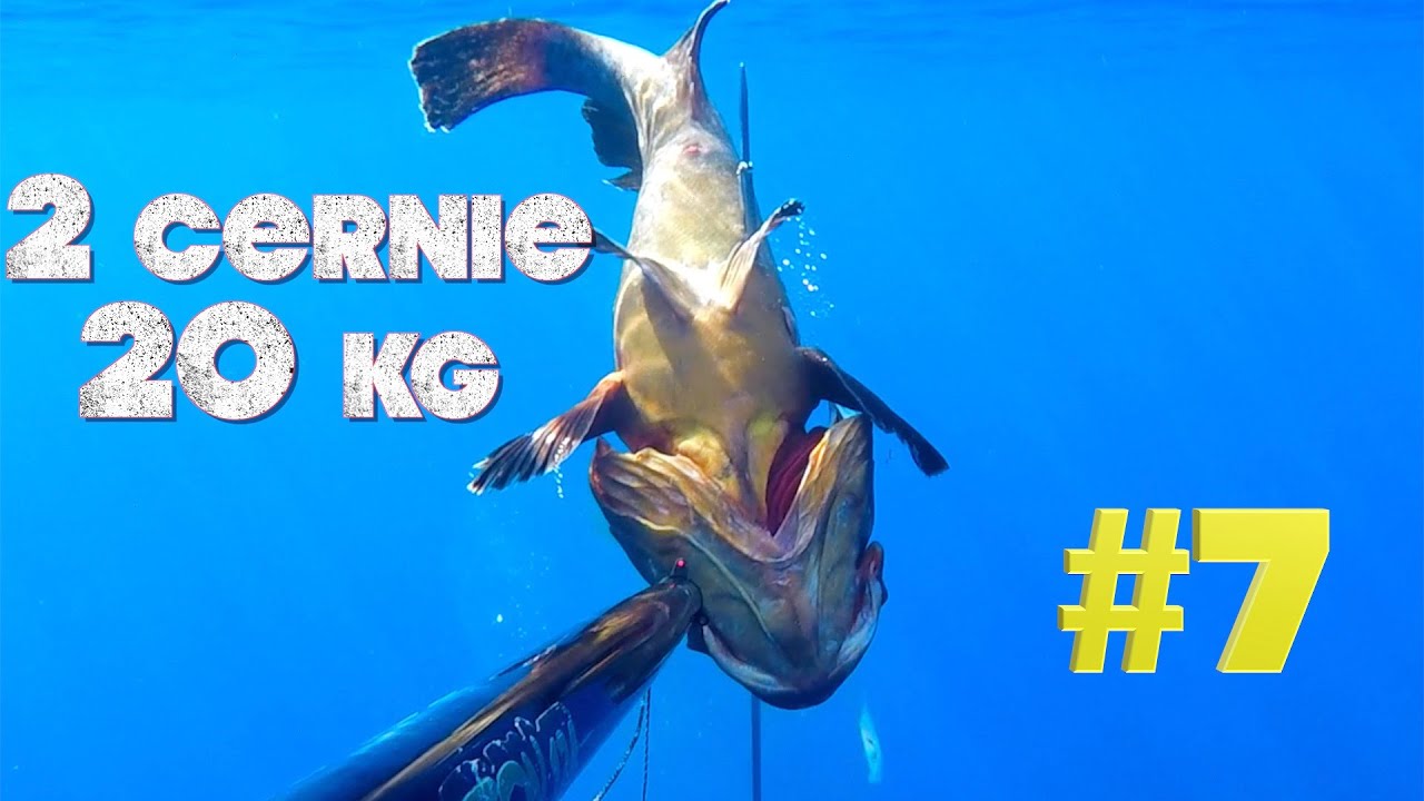 PESCA SUB, Due CERNIE 20 Kg con LGsub Revolution 124