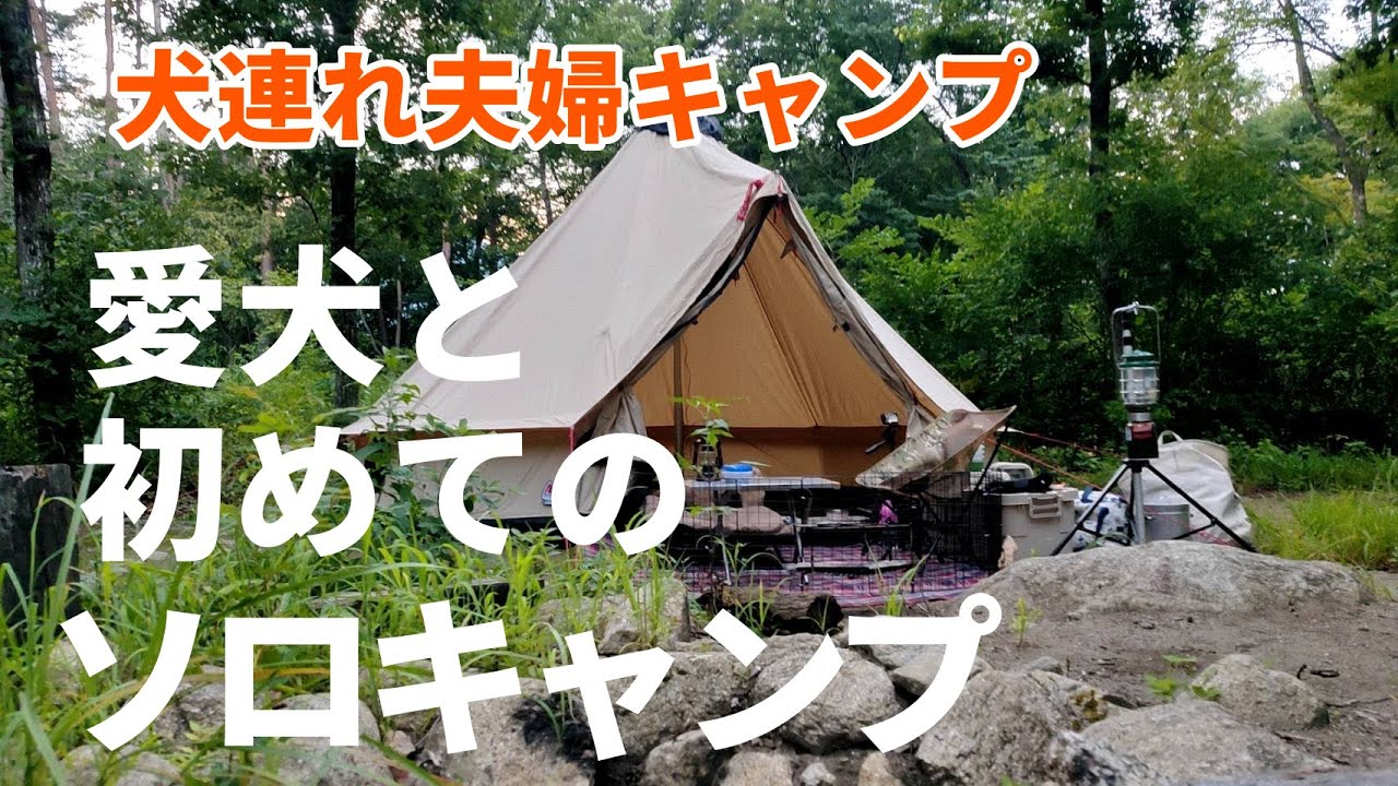 【犬連れソロキャンプ】愛犬と初めてのソロキャンプずっと続く幸せな時間🐶🏕The Camp & Garden AMANAYU