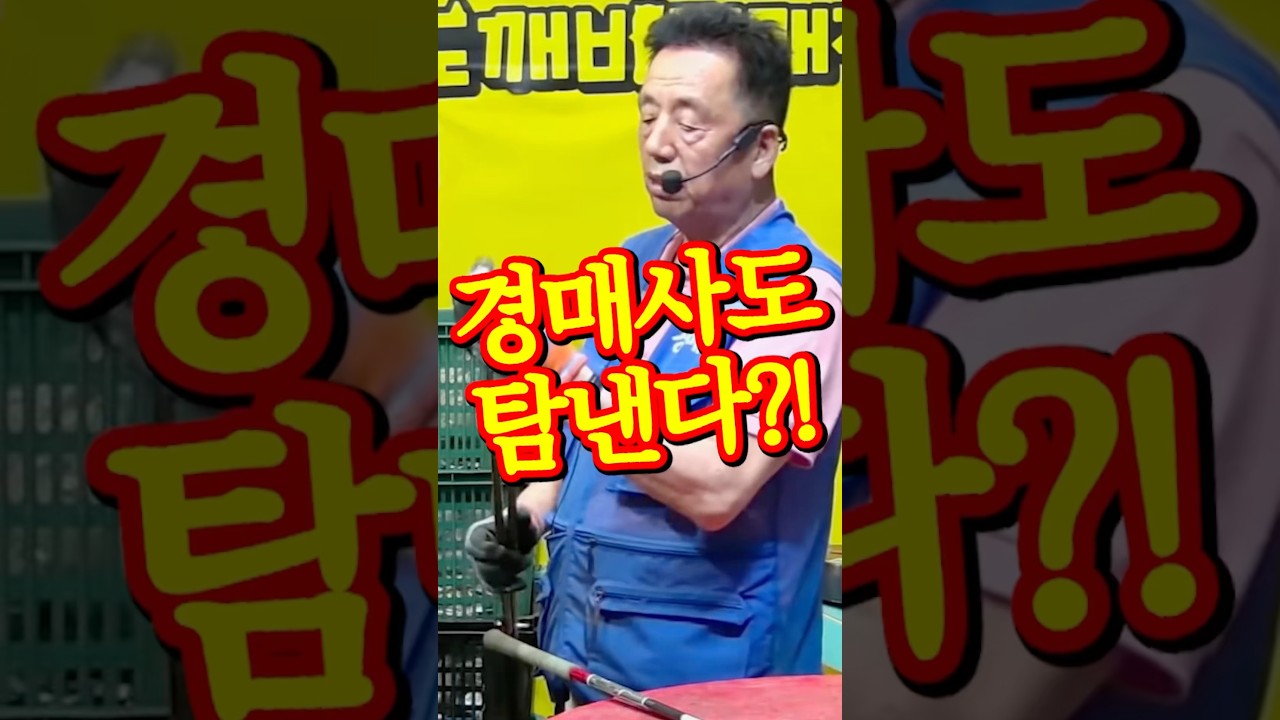 🪇경매사도 탐내는 도깨비만물경매👹