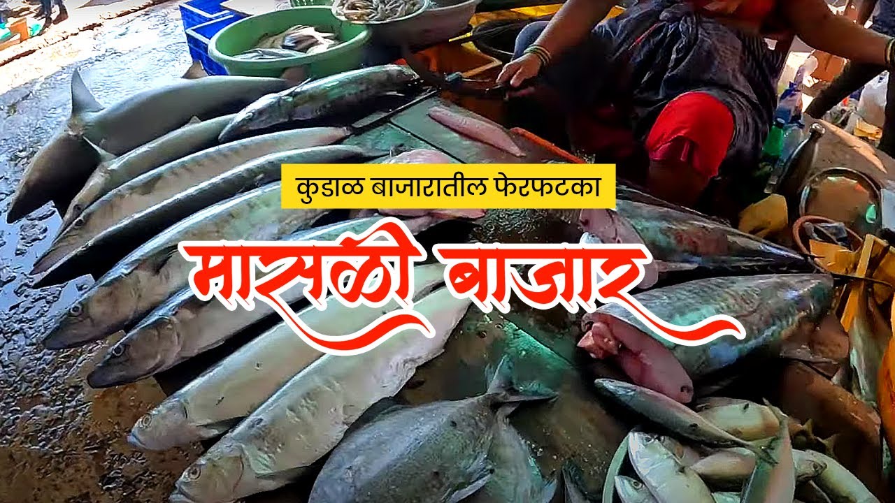 कुडाळच मच्छी मार्केट आणी आठवडी बाजार | kudal fish🐟 market