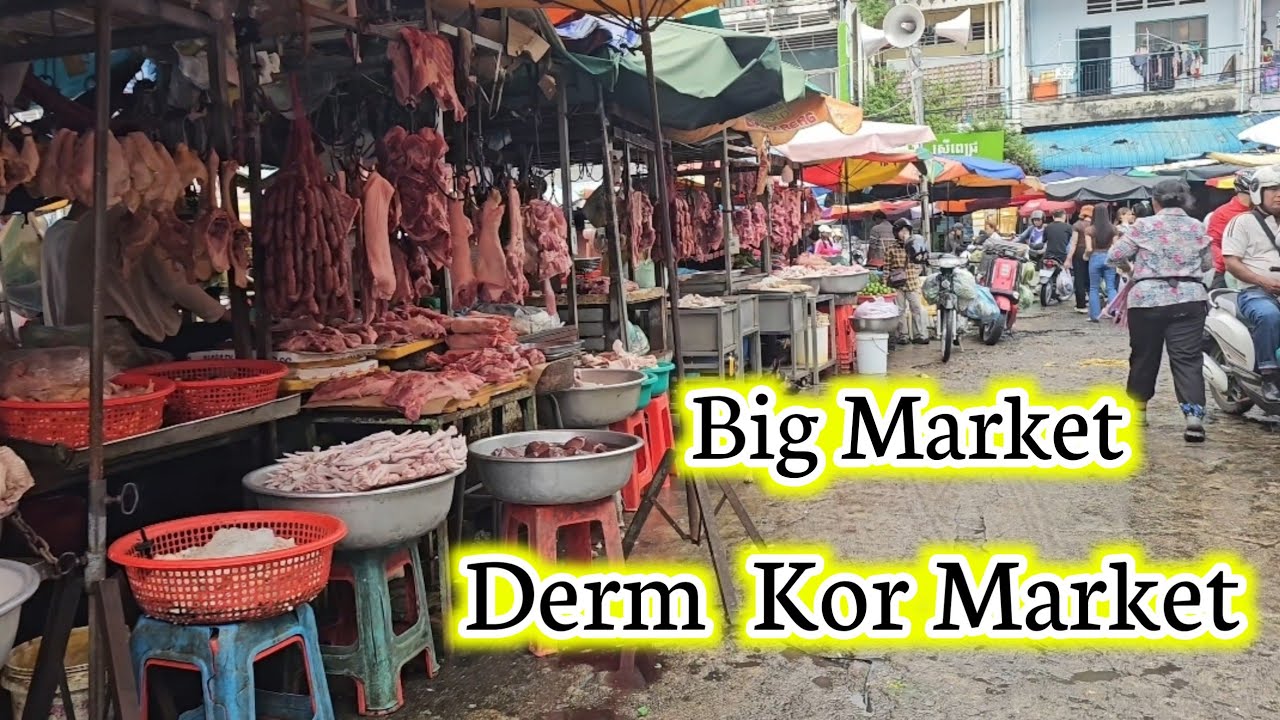 DERM KOR Market Experience this Market So big.  