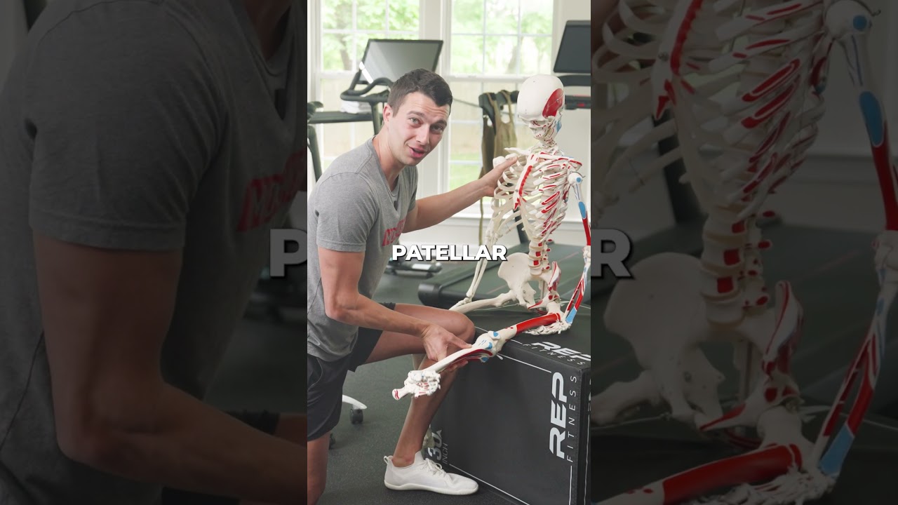 Knee Tendon Training