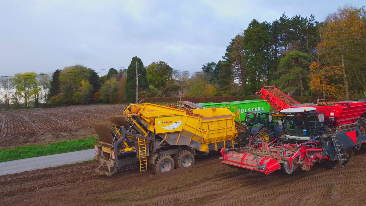 🥕ARRACHAGE Carottes 2020🥕/ Dewulf