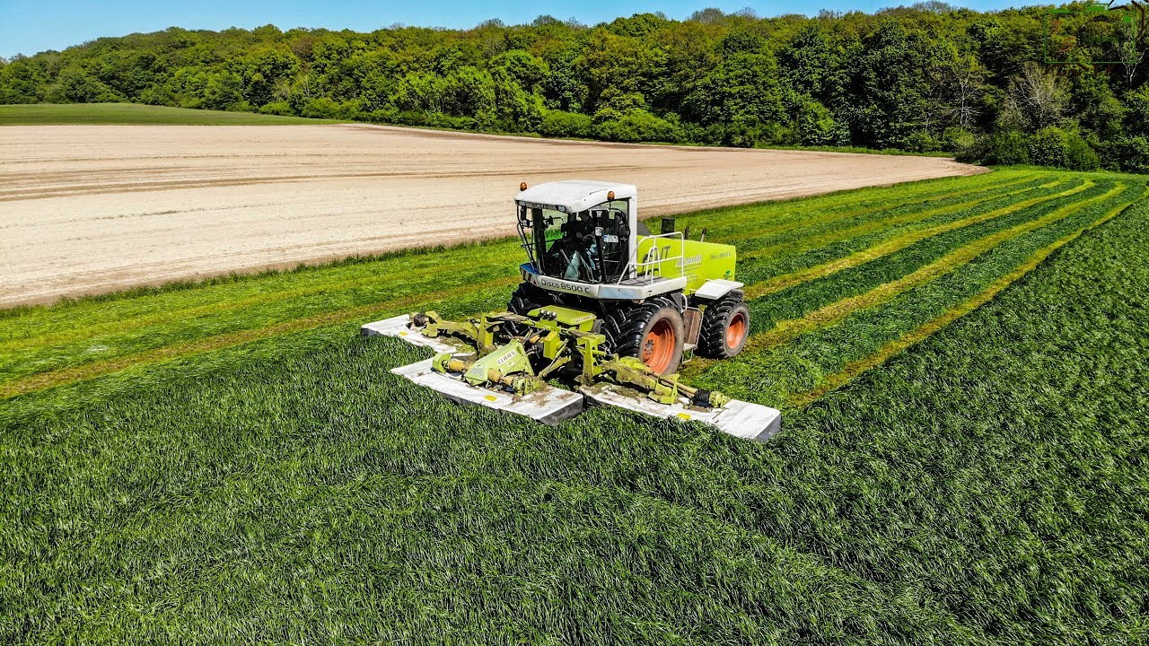 Claas ECut Disco 8500C am Weidegras mähen [1 von 24 Weltweit]