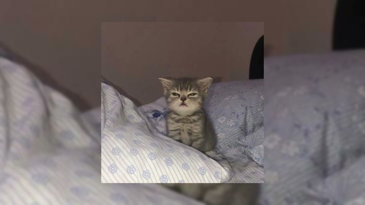 I Can't Handle Change  - sped up