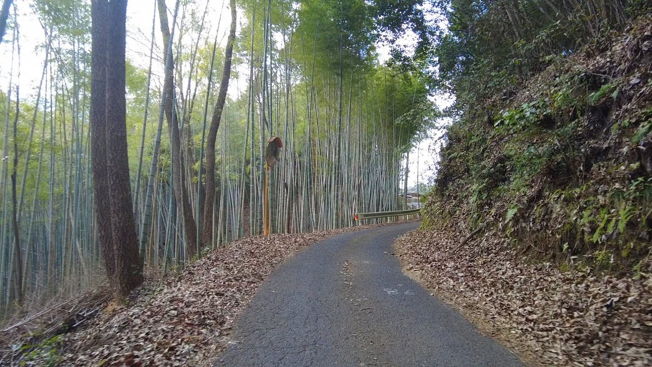 ただ山の中をあるってみたら😌