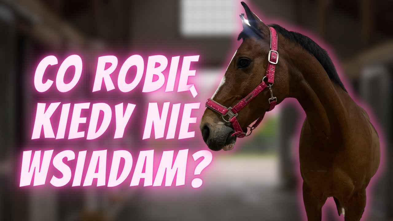 VLOG ZE STAJNI - CO ROBIĘ KIEDY NIE WSIADAM?