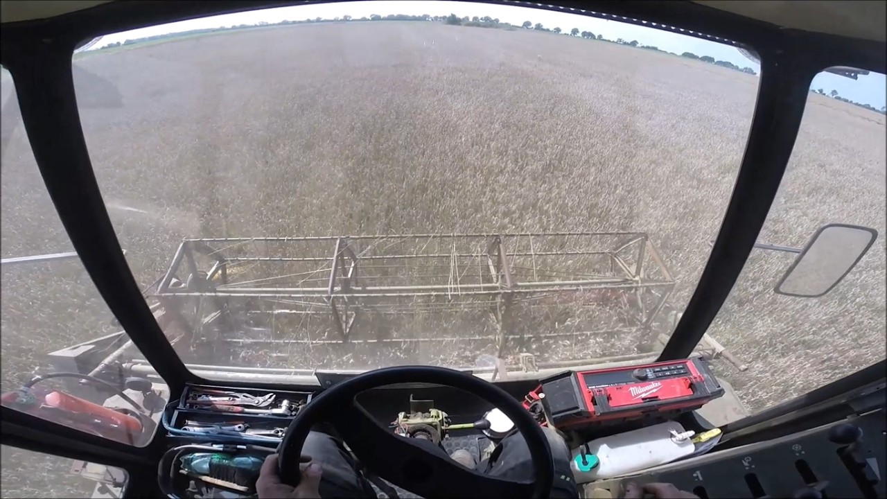 Fortschritt E512/ Weizen dreschen mit DDR Technik/ Cabview/ Teil 1