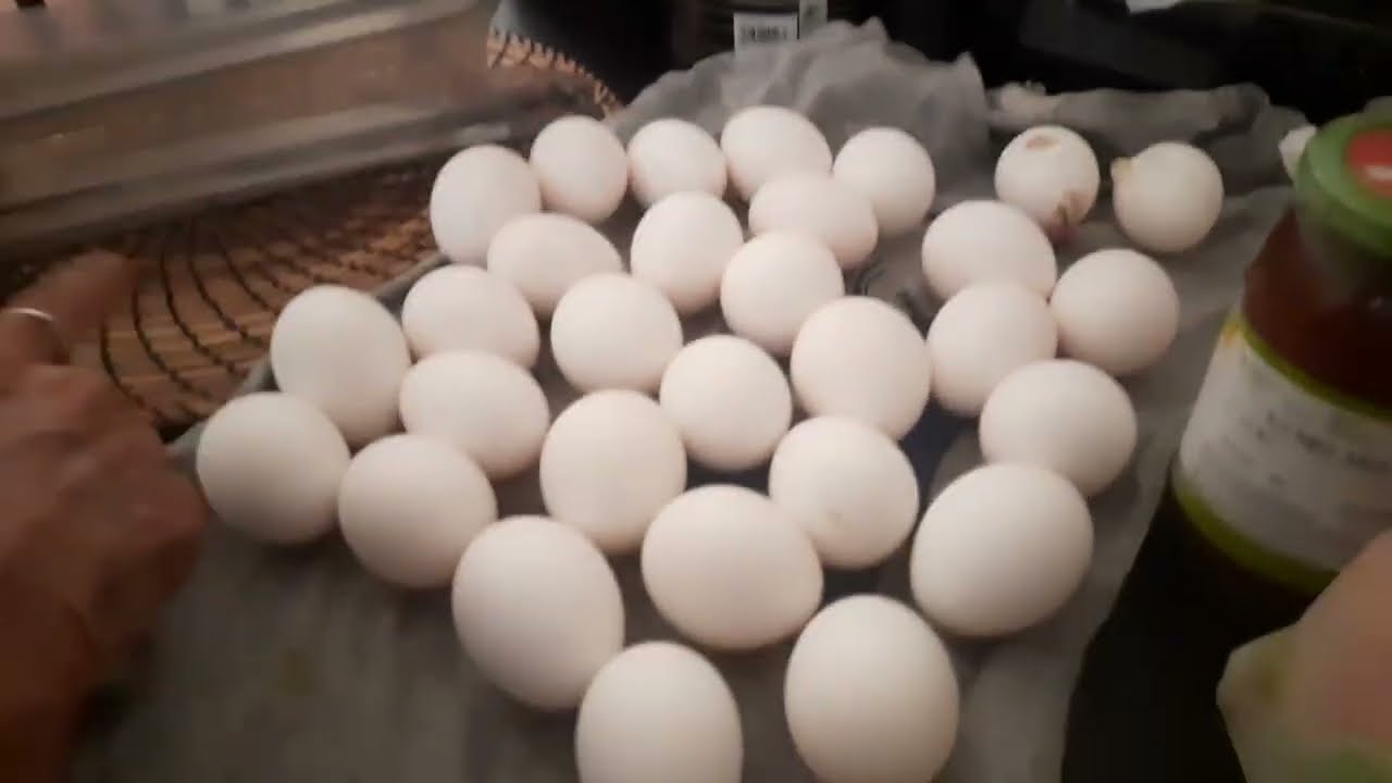 Super Product | Egg Saver 🥚 | My favorite andSuper Product | Egg Saver 🥚 | My favorite and Sweetest 