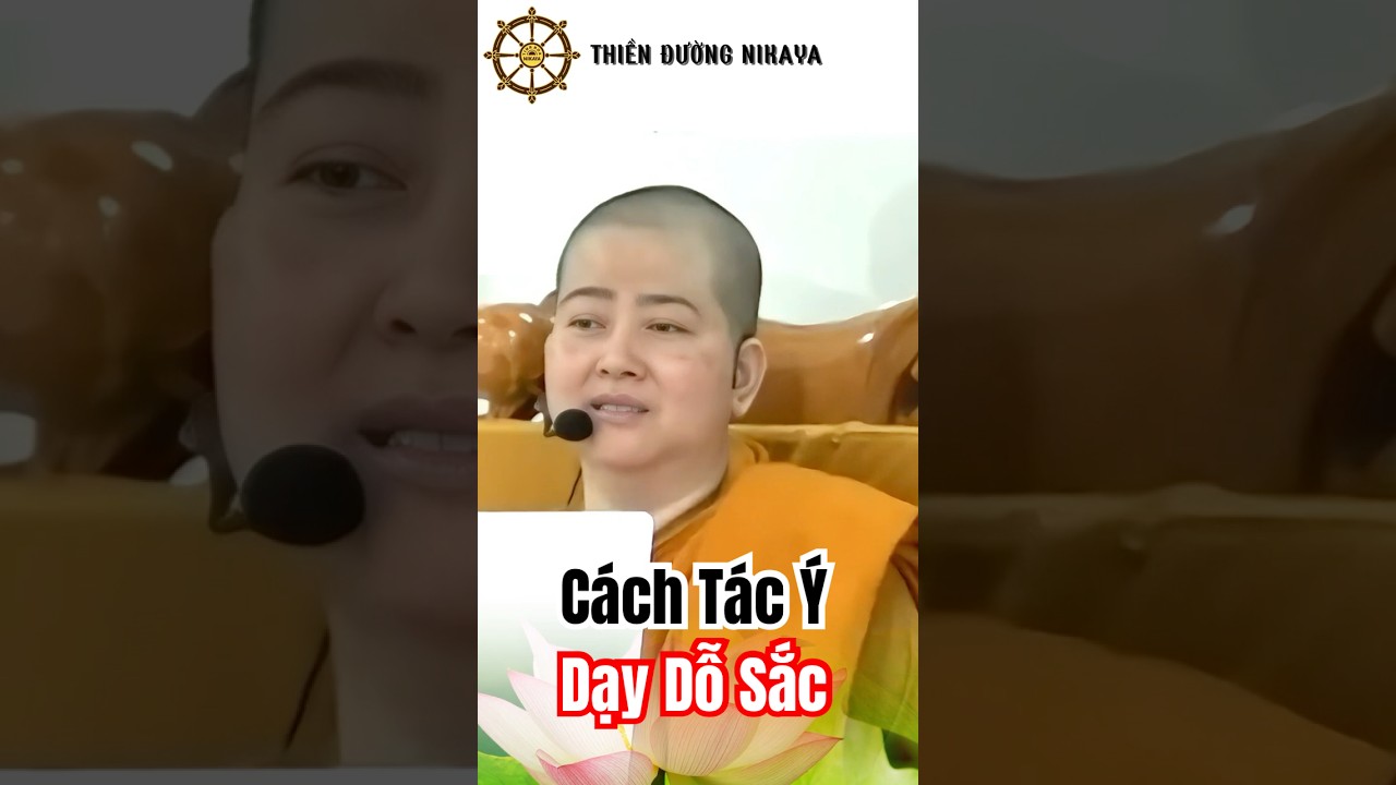 C&aacute;ch T&aacute;c &Yacute; Dạy Dỗ Sắc _ Chơn T&iacute;n To&agrave;n #phat #chontintoan #nikaya #shorts