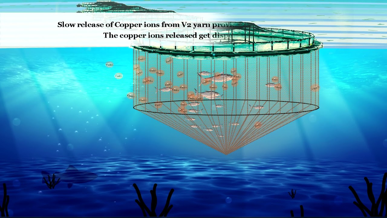 Garware’s V2 Technology  - World’s first in-built anti fouling technology for HDPE cage nets.