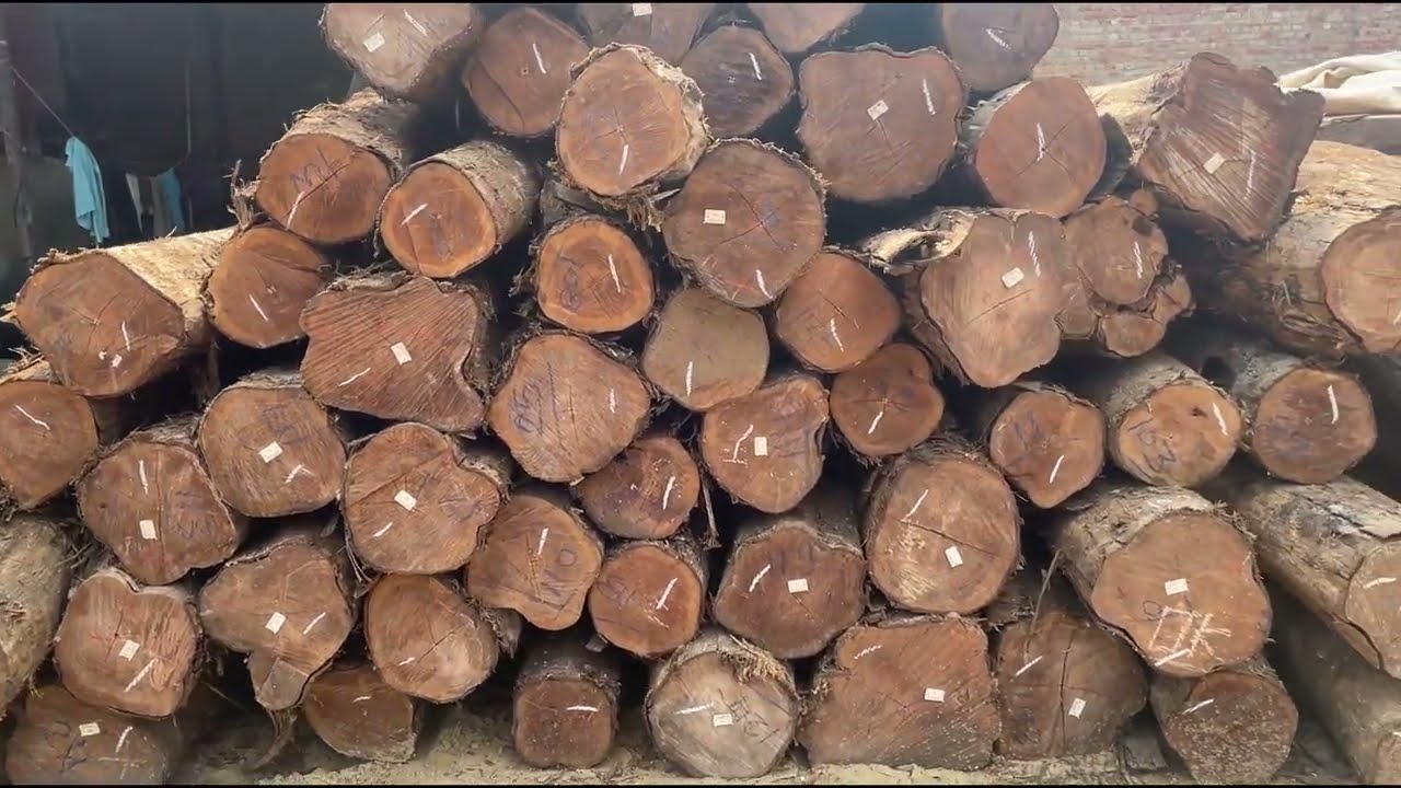 Imported teak wood such as Sudan Teak, Brazil Teak suitable for Doors and windows in budget price