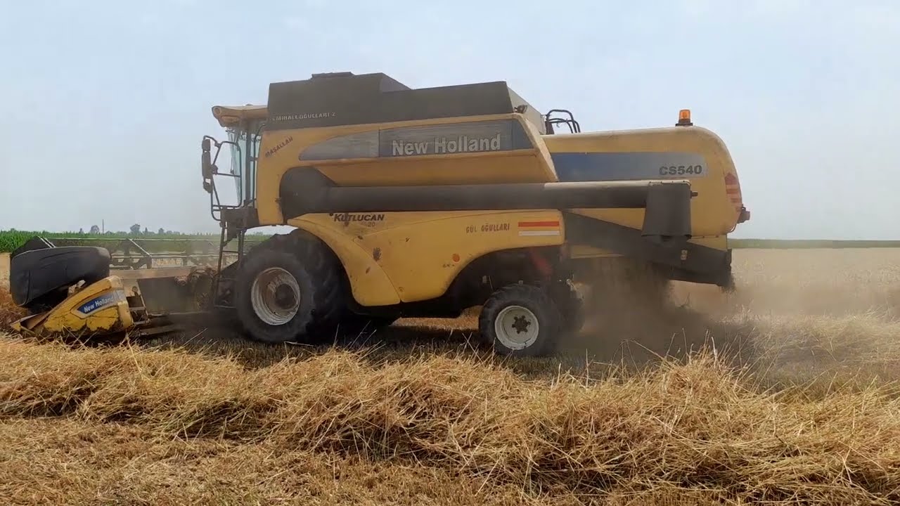 Nevholland CS540 Masseyferguson 3085D Buğday biçimi