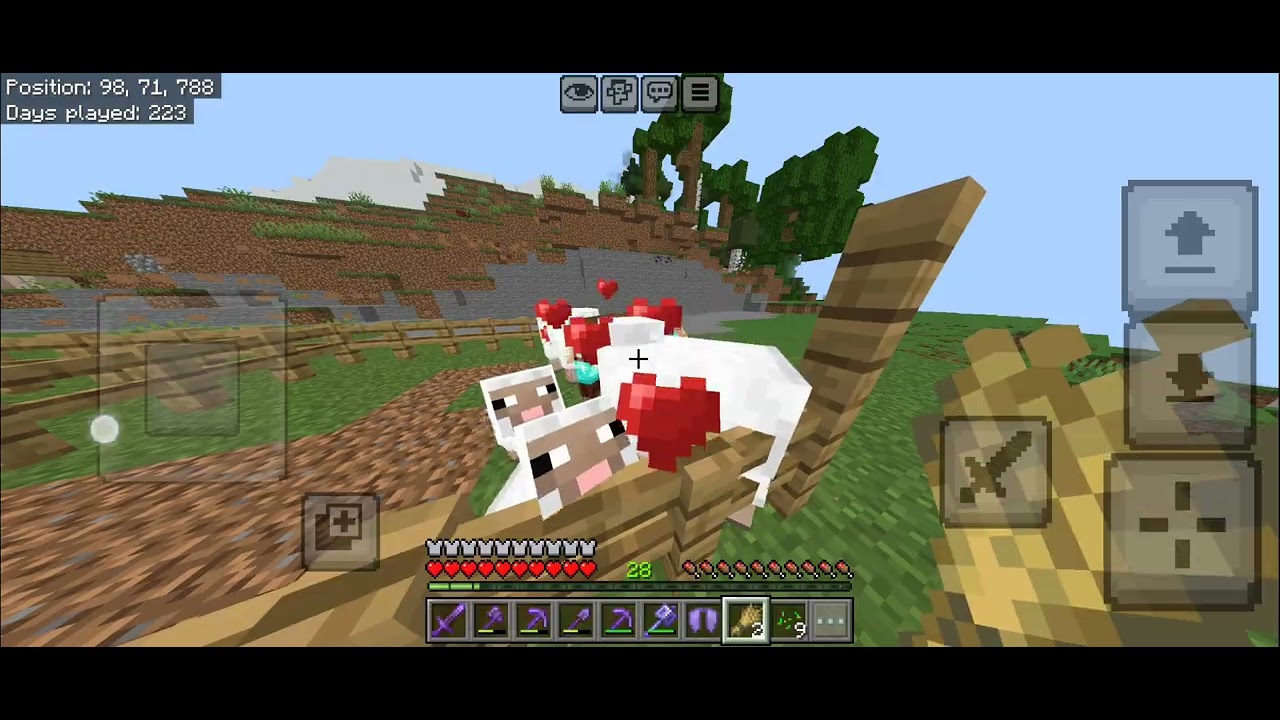 Minecraft servers playing 🤌😶👍