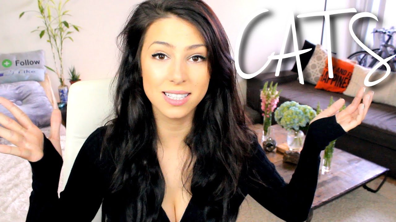 CATS ARE DICKS -- SassiBoB 4 facts 1 lie