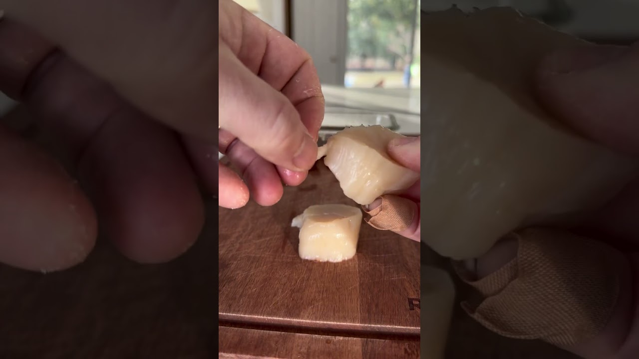Eating Raw Scallops? #seafood #scallops #shellfish