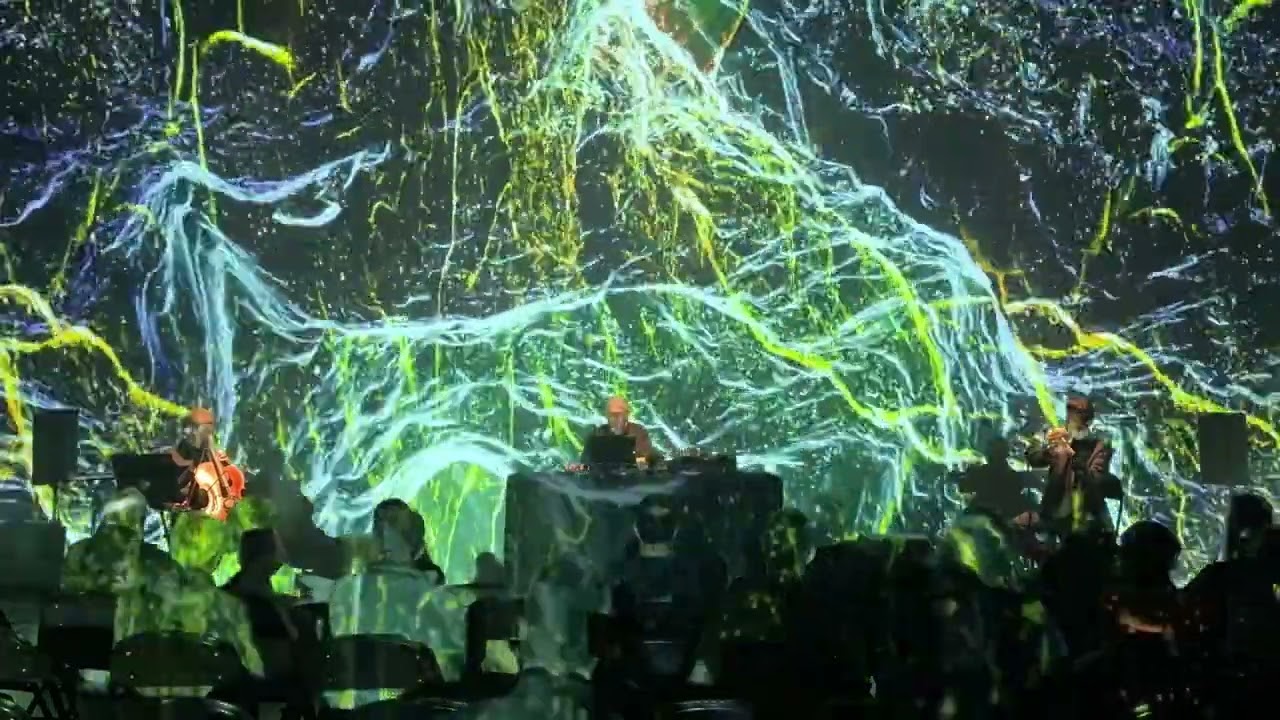 Vitor Joaquim - Calligraphy Live (promo1)