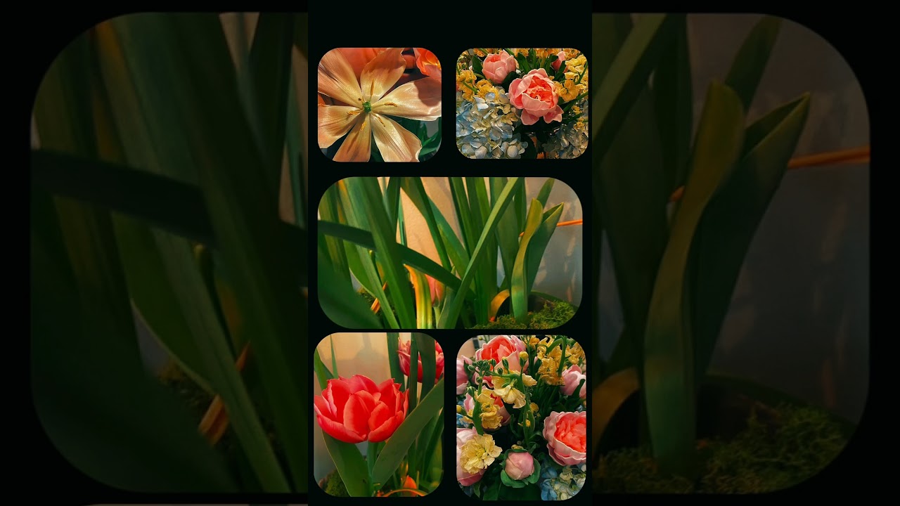 Spring inspiration using my forced tulips 