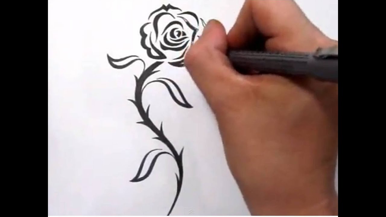 Rose Tattoos - Drawing a Cool Tribal Tattoo Design