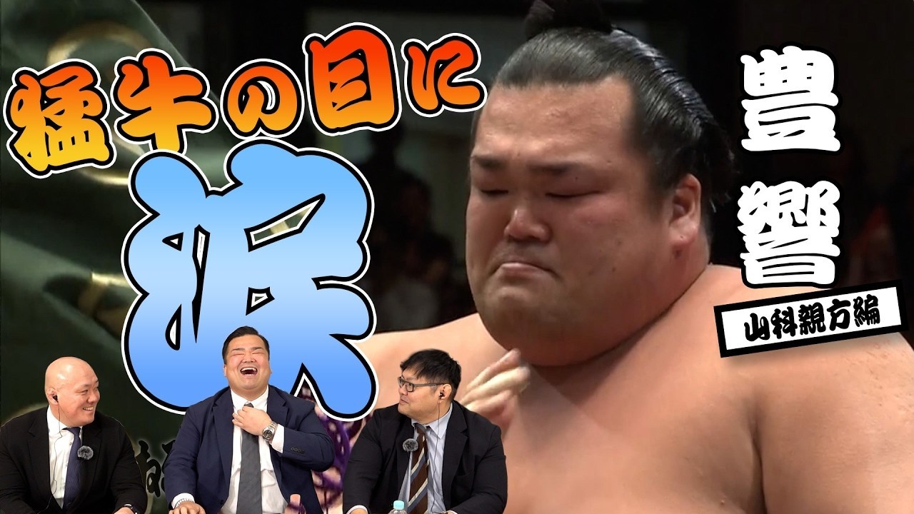 Внутри жизни в сумо Оякаты Ямасина (Тойохибики)! #sumo #相撲