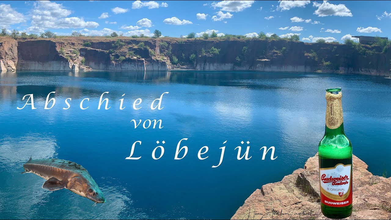 Abschied der Störe