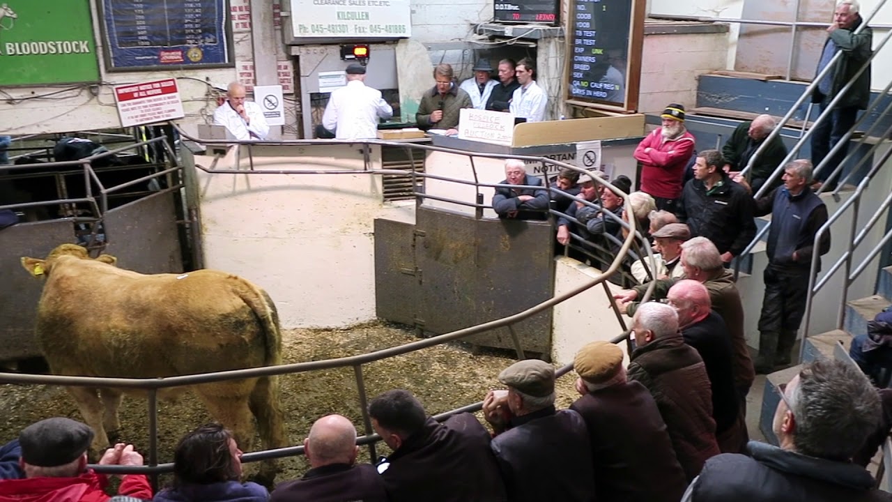 Leinster Marts Kilcullen 50th Anniversary