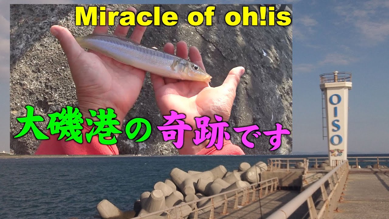 大磯港の奇跡 Miracle of Oiso【シャンシャンモードなチョイ投げ釣り】