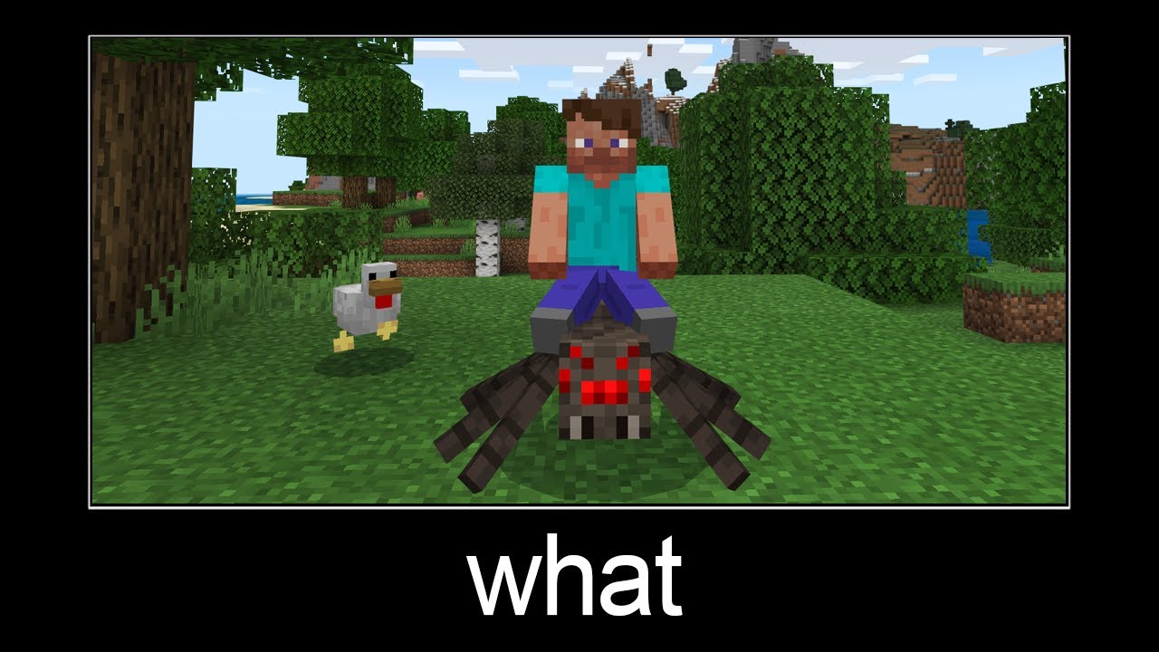 Minecraft wait what meme part 88 (Steve on a spider)