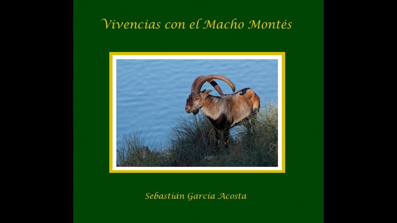 Documental - Vivencias con el Macho Mont&eacute;s