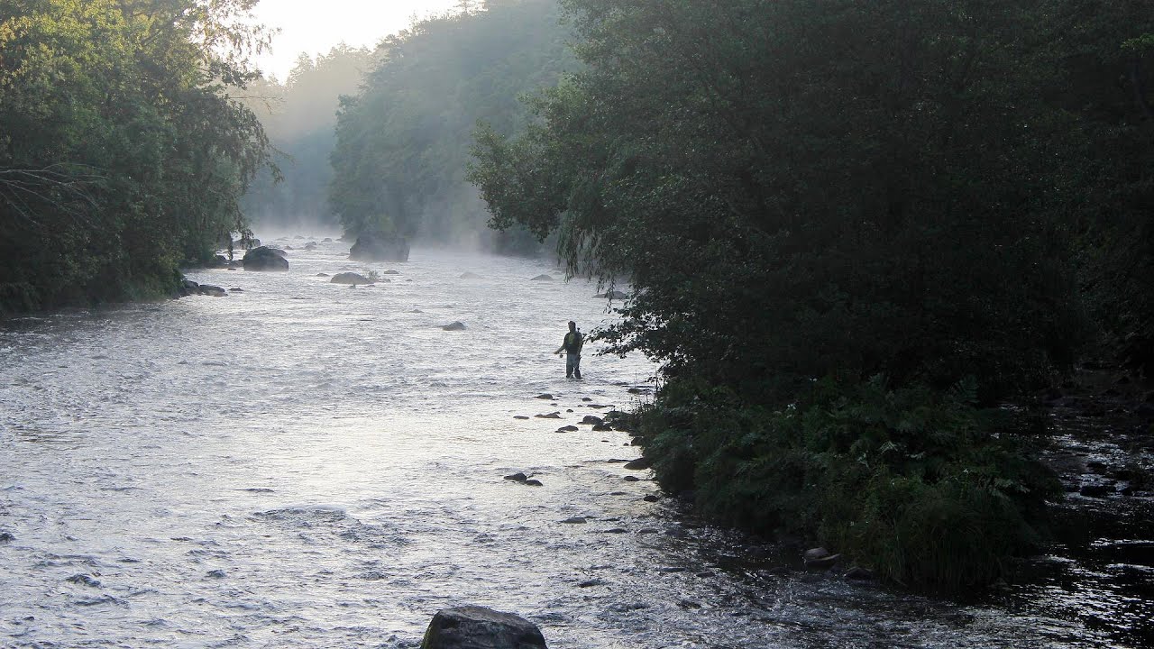 How to catch and release - Fly fishing for salmon and sea trout in flowing water