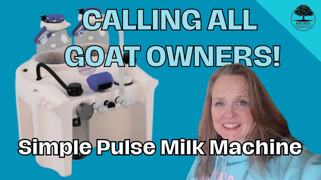 Simple Pulse Milking Machine | How We Use It and Clean It