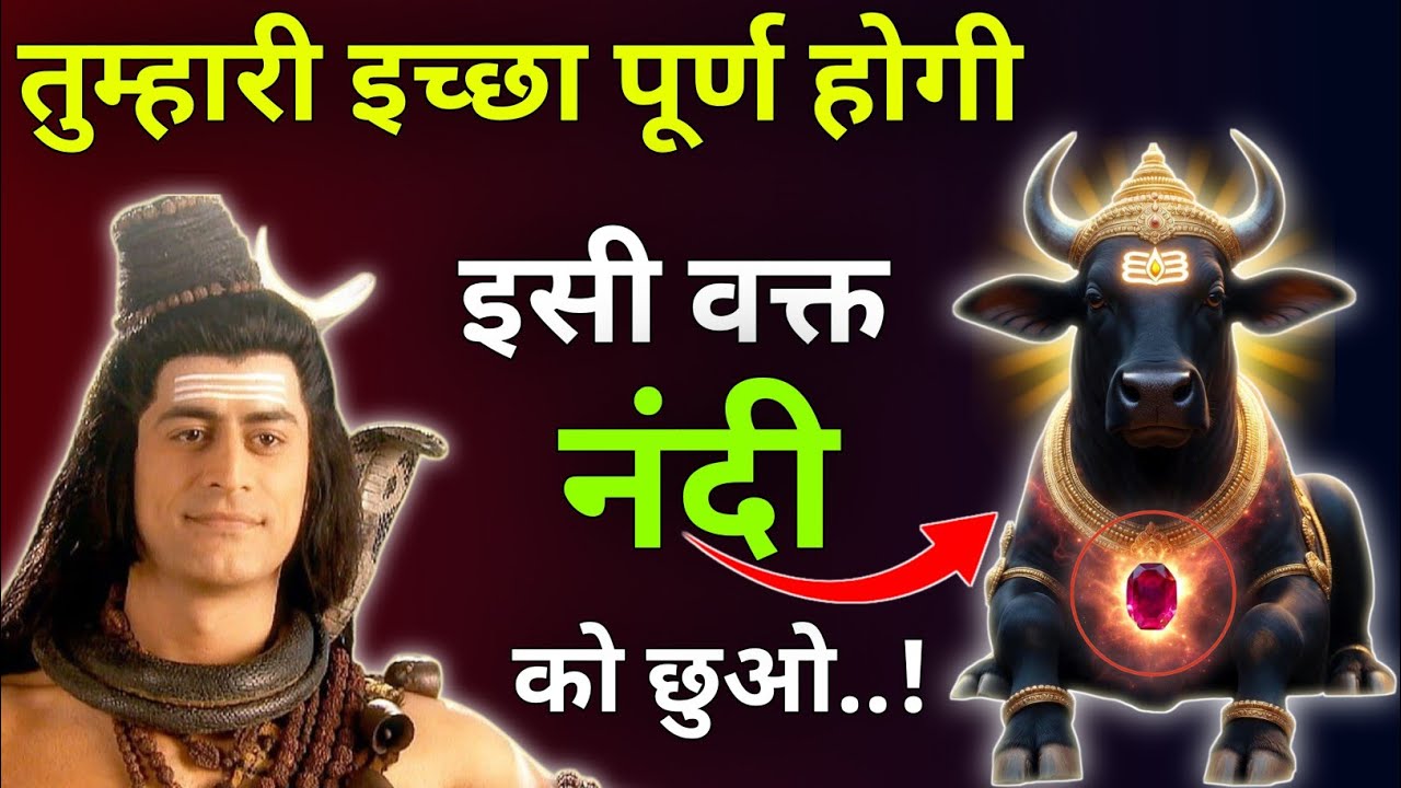 तुम्हारी इच्छा पूर्ण होगी इसी वक्त नंदी को छुओ |Mhadev Updesh |Mhadev Vichar |Mhadev Gyan