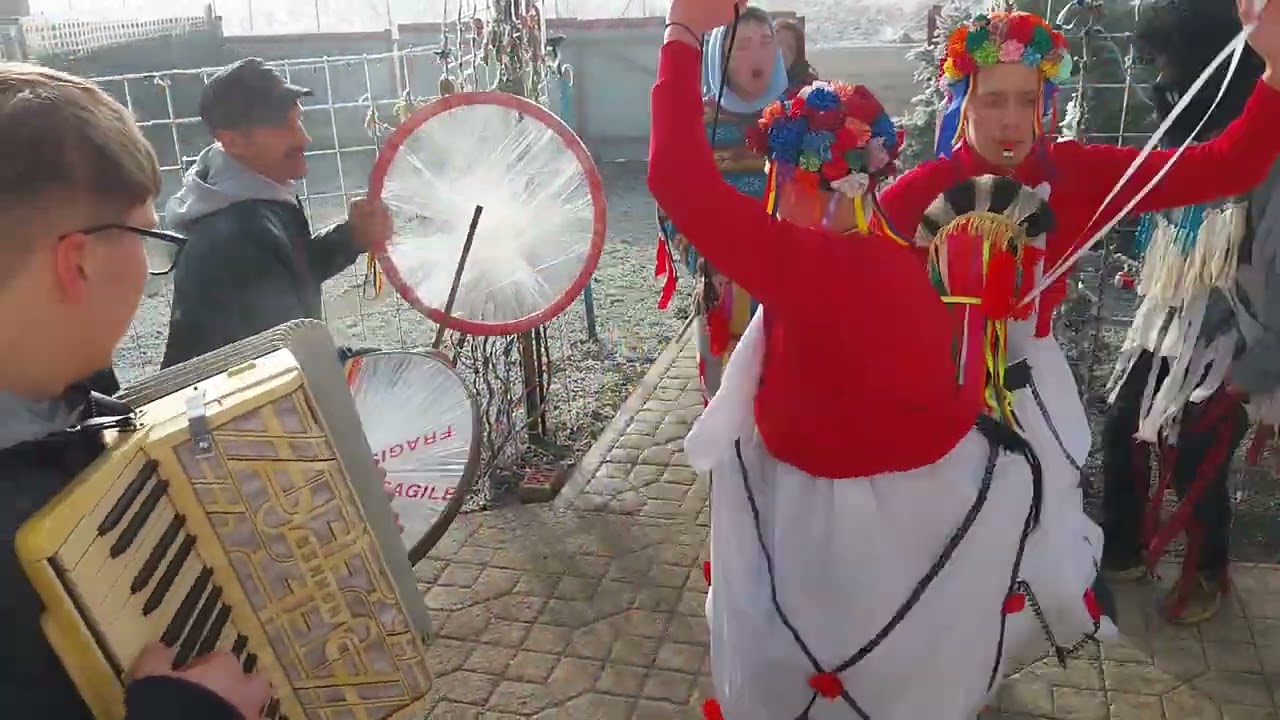 Căiuții Sârbi