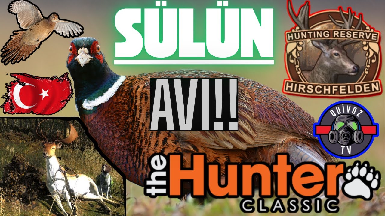 Hirschfelden'de Sülün Avı!!! | The Hunter Classic (TÜRKÇE)