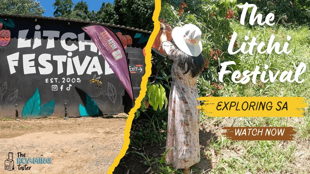 The Litchi Festival | South Africa