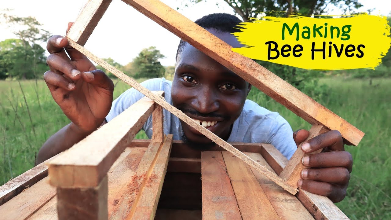 I'm Moving into  BEE KEEPING | Learning Everything I can about Making HONEY